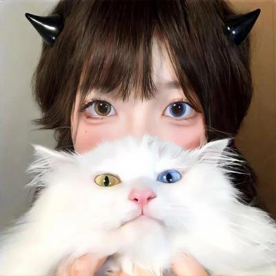 正直的候选人